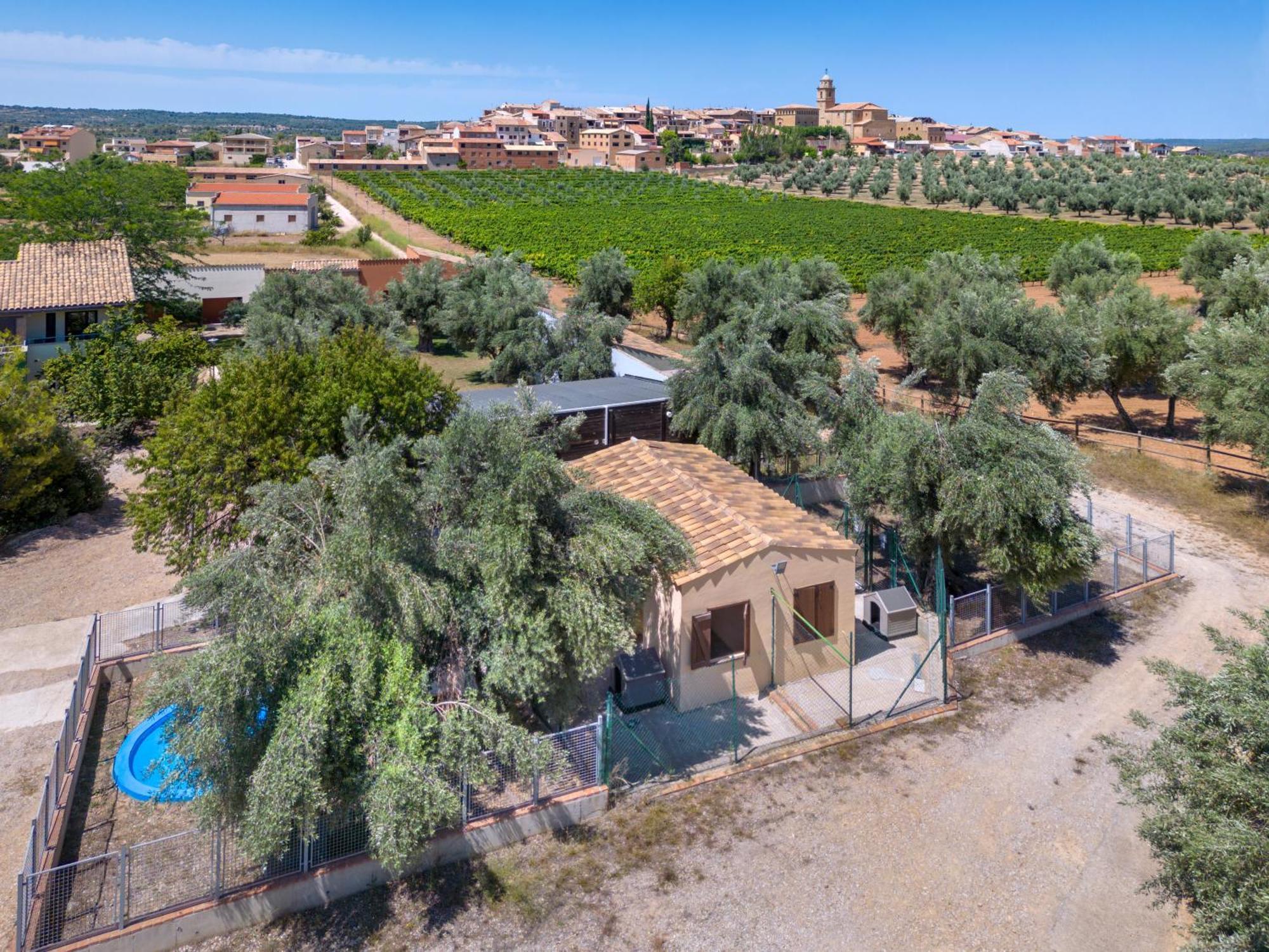 Hotel & Resort Vilar Rural D'Arnes By Serhs Hotels Sant Carlos de la Ràpita Eksteriør billede