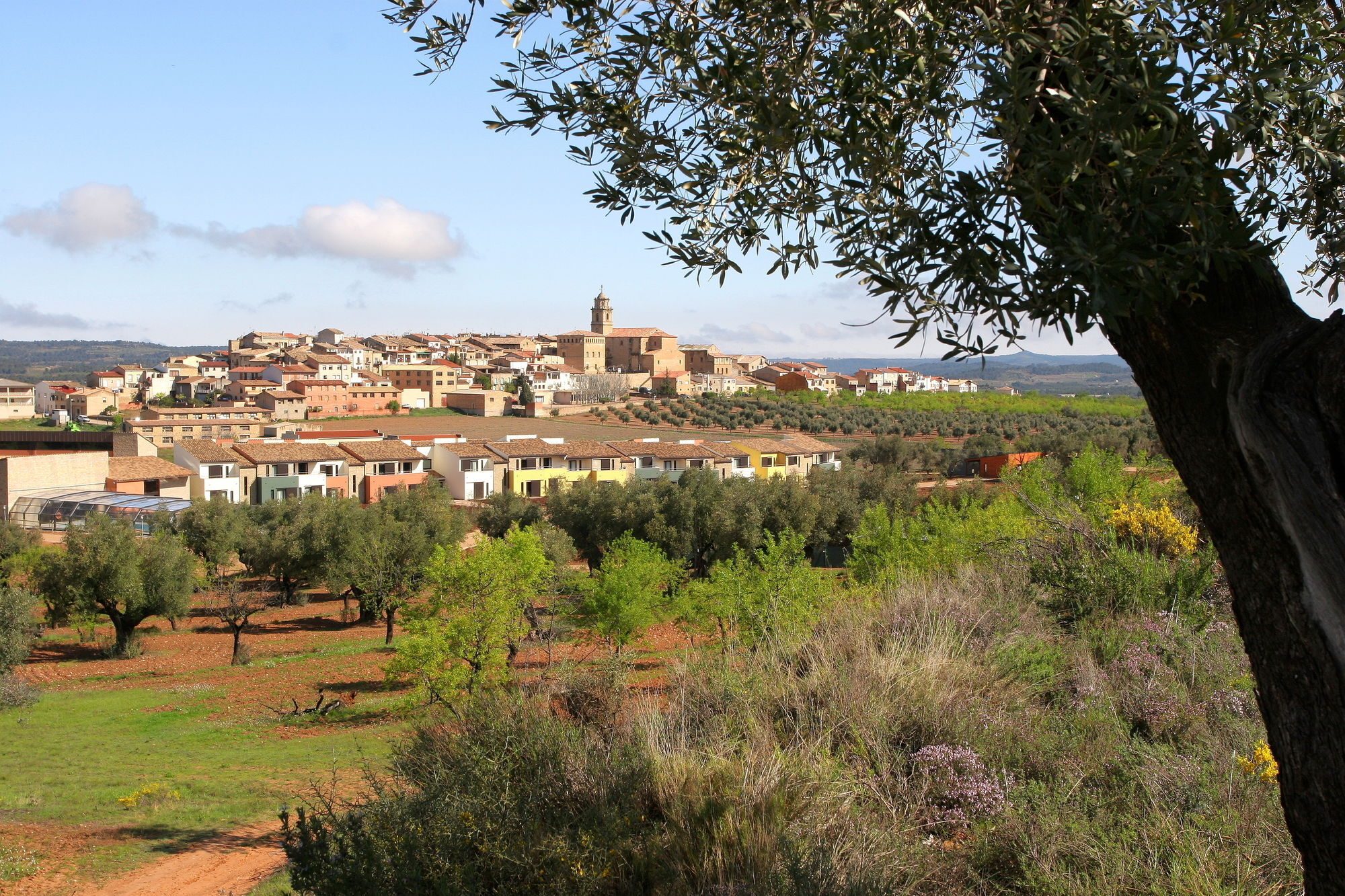 Hotel & Resort Vilar Rural D'Arnes By Serhs Hotels Sant Carlos de la Ràpita Eksteriør billede